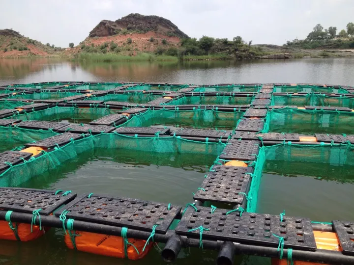 Fish farming facilities