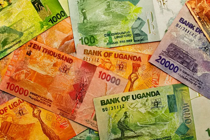 Ugandan currency notes